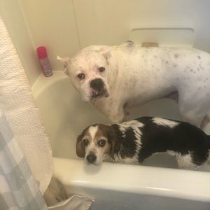 Meet your Posher, Gary